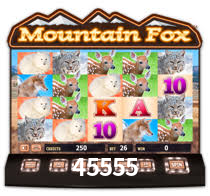 Bônus de Boas-vindas 45555